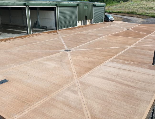 243a0438-d665-42a3-95f6-837d1a3e7fbd