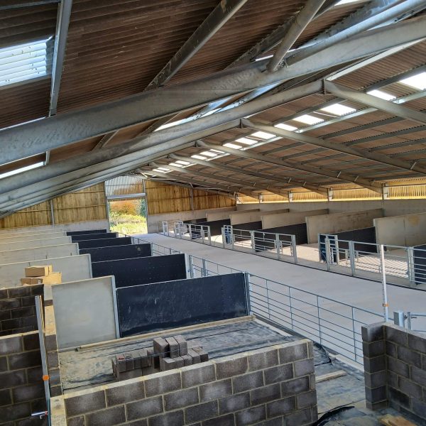 be9fabf5-132a-4a9a-9c12-c1f0d1e06c6e